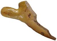 Afbeelding object 19maas4 - 31 - 29-111