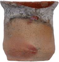 Afbeelding object 21tes3 - 25 - BZN 17 11051-004