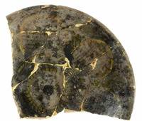 Afbeelding object 16enk9 - 20 - ENK-381-19-C07