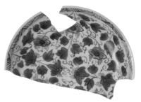 Afbeelding object 99sted - 1155 - Sis99-Nym99-213 12