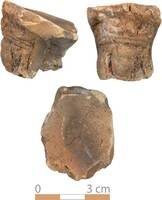 Afbeelding object 22dha10 - 3 - 49-3