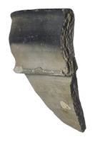 Afbeelding object 22bah1 - 4 - BAAOO 29-1