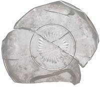 Afbeelding object 23ape2 - 59 - APPL4 V388-38