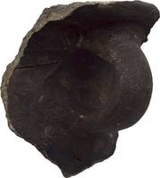Afbeelding object 23lei1 - 10 - v62-38