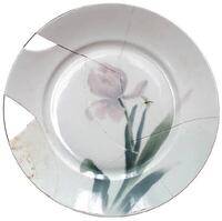 Afbeelding object 23ape2 - 4 - APPL4 V388-5