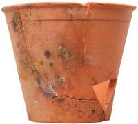 Afbeelding object 23ape2 - 1 - APPL4 V388-31