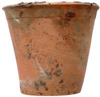 Afbeelding object 23ape2 - 2 - APPL4 V388-32