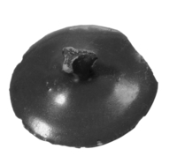 Afbeelding object 99sted - 1252 - Sis99-Nym99-224 300