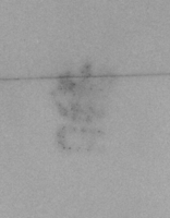 Afbeelding object 99sted - 1246 - Sis99-Nym99-228 108