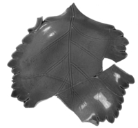 Afbeelding object 99sted - 1456 - Sis99-Nym99-228 27