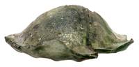 Afbeelding object 15ams16b - 289 - NZD1.00381GLS005