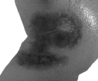 Afbeelding object 99sted - 83 - Sis99-Nym99-231 30