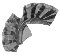 Afbeelding object 99sted - 664 - Sis99-Nym99-231 406