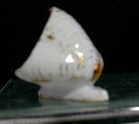 Afbeelding object 17utr19 - 210 - ZEE-1 1180-16