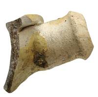 Afbeelding object 17utr19 - 2 - ZEE-1 664-43