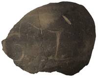 Afbeelding object 23utr31 - 17 - QHP01.0085KER01-DEV-25