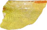 Afbeelding object 22dbo10 - 3 - 1-2-4.4