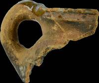 Afbeelding object 22haa22 - 2 - 0.02DAM.050.009