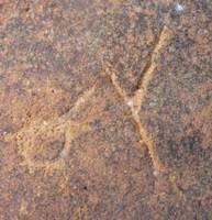 Afbeelding object 09hoo4 - 253 - HOO-BET05-207-C30