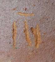 Afbeelding object 09hoo4 - 255 - HOO-BET05-112-C24