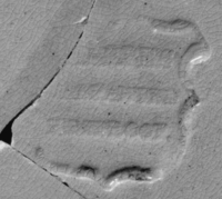 Afbeelding object 99sted - 325 - Sis99-Nym99-247 191