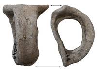 Afbeelding object 22edam1 - 16 - EDAM-20V5000.446