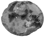 Afbeelding object 99sted - 455 - Sis99-Nym99-262 119