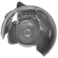 Afbeelding object 99sted - 957 - Sis99-Tl99-301 11