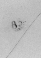 Afbeelding object 99sted - 1351 - Sis99-Tl99-310 42