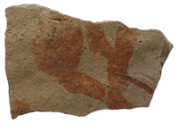 Afbeelding object 25bor2 - 10 - 5137760100 224-3