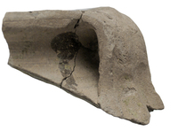 Afbeelding object 25bor2 - 4 - 5137760100 181-1