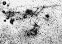 Afbeelding object 99sted - 1080 - Sis99-Tl99-313 151