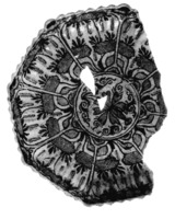 Afbeelding object 99sted - 1084 - Sis99-Tl99-313 153