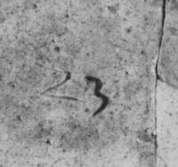 Afbeelding object 99sted - 1020 - Sis99-Tl99-313 176