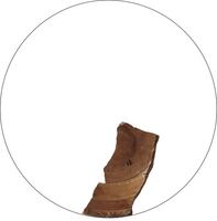 Afbeelding object 26ter2 - 10a - 5263172100 - Item 64