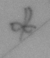 Afbeelding object 99sted - 1249 - Sis99-Tl99-313 291