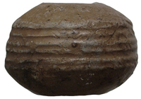 Afbeelding object 23vla3 - 2 - A13-033-N vnr. 3-3