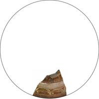 Afbeelding object 23vla3 - 6 - A12-181-N vnr. 999-1