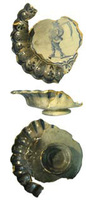 Afbeelding object 15woe5 - 14 - Woen-13V54.001-1