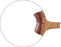 Afbeelding object 25alk28 - 2 - 21VER10-2