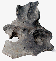 Afbeelding object 25alk28 - 9 - 21VER10-4