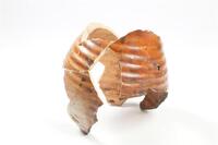 Afbeelding object 92almereCMA7 - 07/003 - scheepswrak Almere 2 E west / ZW13-3