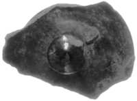 Afbeelding object 00zut1  - 9 - Zut00