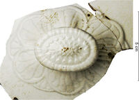 Afbeelding object 11nijm4 - 17 - Ht3.16.68