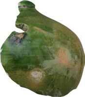 Afbeelding object 23maas5 - 9 - 198.1