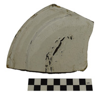 Afbeelding object 25zaa6 - 14 - Vnr. 11-1