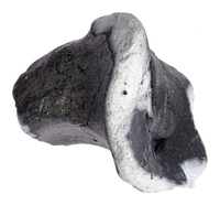 Afbeelding object 25ams44 - 238 - NZD1.00391CER007