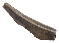 Afbeelding object 25ams44 - 252 - NZD1.00079CER137