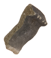 Afbeelding object 25ams44 - 255 - NZD1.00079CER002