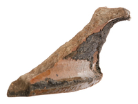 Afbeelding object 25ams44 - 290 - NZR2.00803CER043